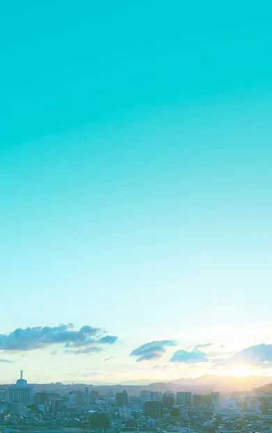 斜俯瞰の街並み